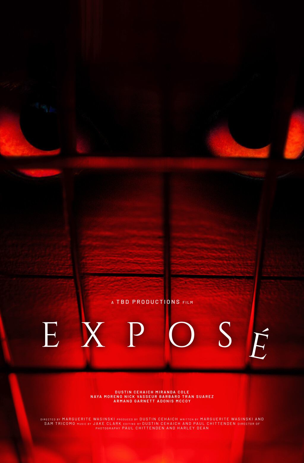 Filmposter for Exposé